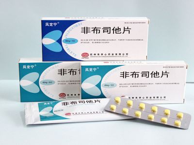 非布司他片（20mg、 40mg）